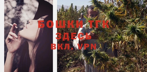 стаф Абинск