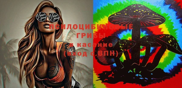 крисы Алексеевка
